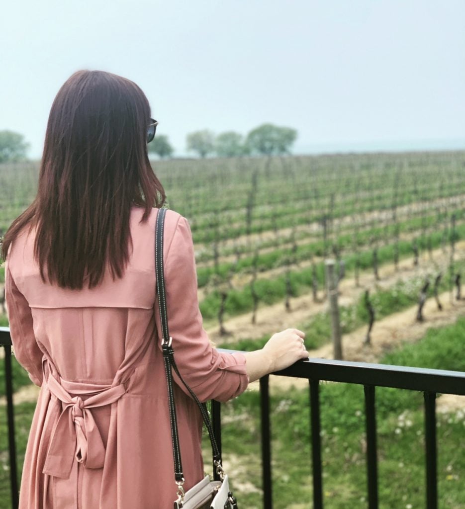 Ontario Wineries That Deliver