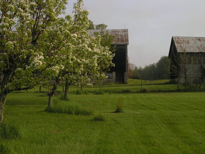 Haunted Ontario Wineries