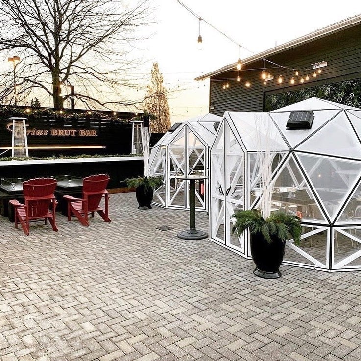 Trius Wine Winter Domes