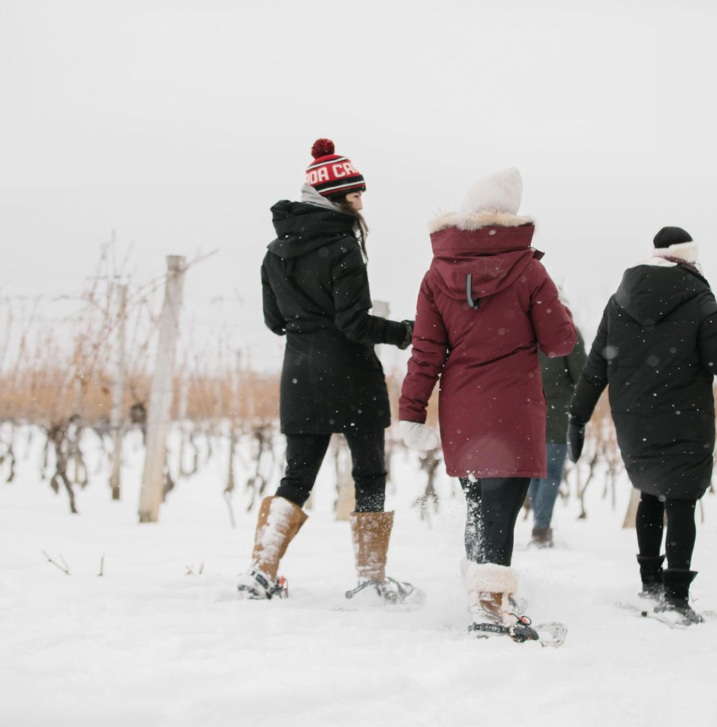 Niagara Winery Snowshoe