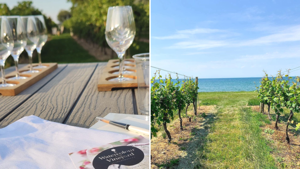 Konzelmann Estate Winery Watercolour