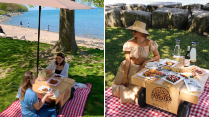 picnic Niagara