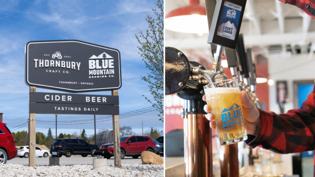 Blue Mountain Brewing Co.